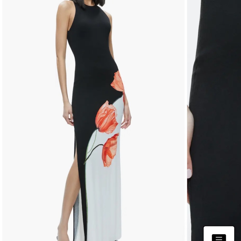 Alice and Olivia dress